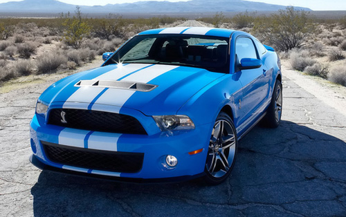 2010 Ford Shelby GT500 Photos 2010 Ford Shelby GT500